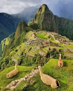 Machu Picchu: Inca Wonder VR Tour